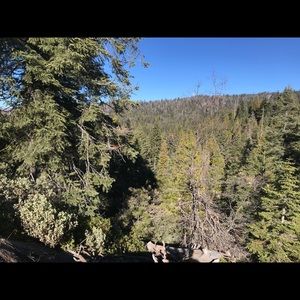 Meet your Posher, Walter